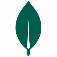 MongoDB Atlas MCP Server by mongodb-developer